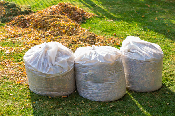 Pile of yellow and orange fallen leaves collected in big white plastic bags on green grass lawn at backyard. Autumn or spring foliage removal in city street or park. Natural waste cleaning disposal.